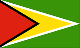 Guyana National Flag Sewn Flags - United Flags And Flagstaffs