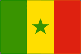 Senegal National Flag Printed Flags - United Flags And Flagstaffs