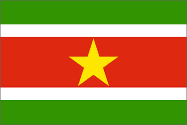 Suriname National Flag Sewn Flags - United Flags And Flagstaffs