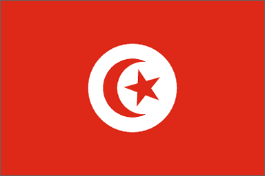 Tunisia National Flag Printed Flags - United Flags And Flagstaffs